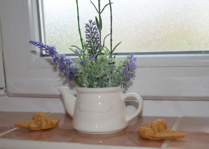 Apartament Marta Kaštel Novi